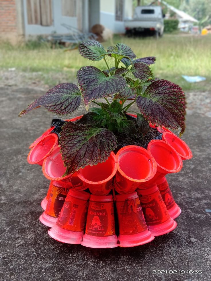 Pot Bunga dari Ecobrick: Solusi Kreatif untuk Lingkungan Lestari?