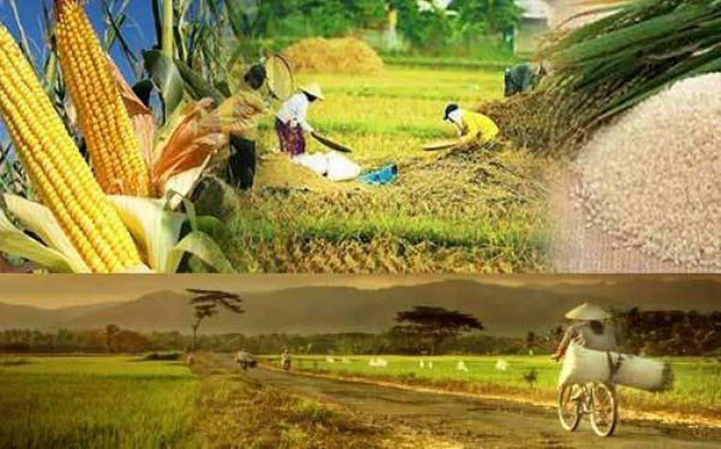 Produk Pangan Nabati: Lebih Ramah Lingkungan?