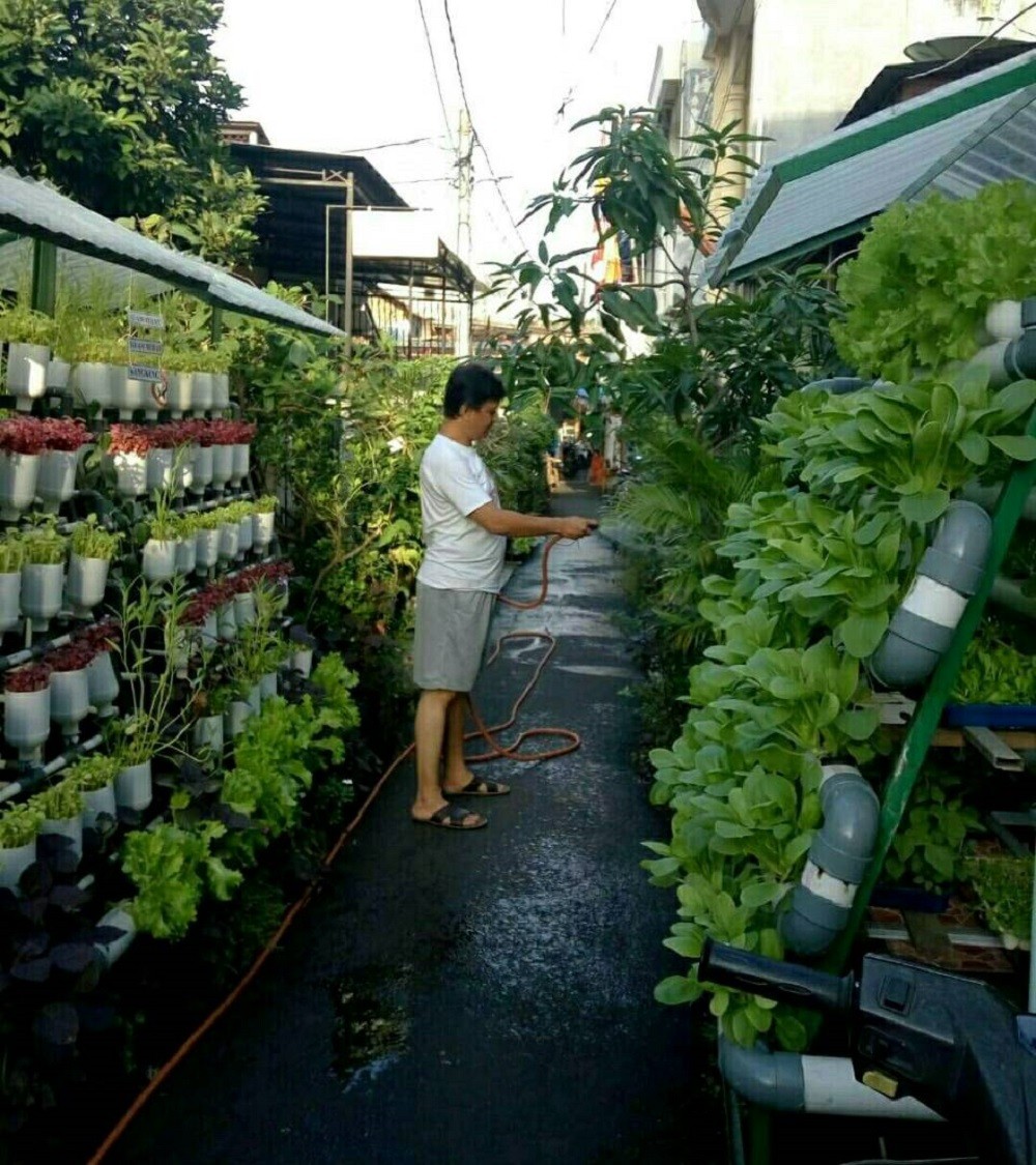 Urban Farming Jakarta Timur: Potensi dan Realita