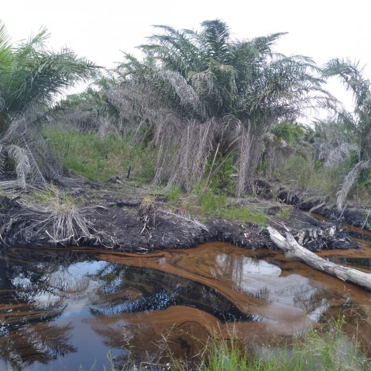 Kebun Ros Kota Bengkulu: Oase Hijau di Tengah Kota