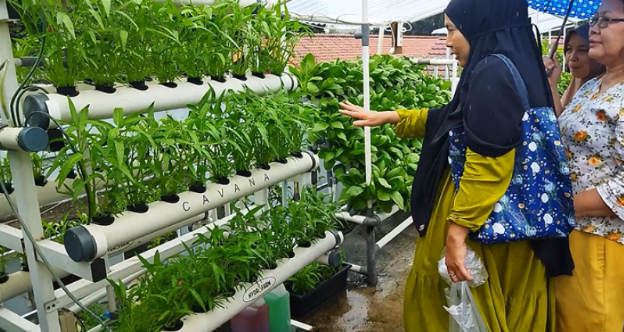 Urban Farming Juanda Depok: Mampukah Menjadi Solusi Pangan Kota?