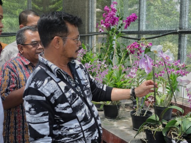 Kisah Sukses di Balik Kebun Tanaman Hias: Inspirasi dari Para Wirausahawan Unggul