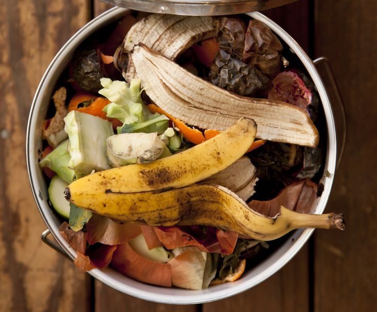Ecobrick: Solusi Efektif Mengurangi Limbah Plastik?