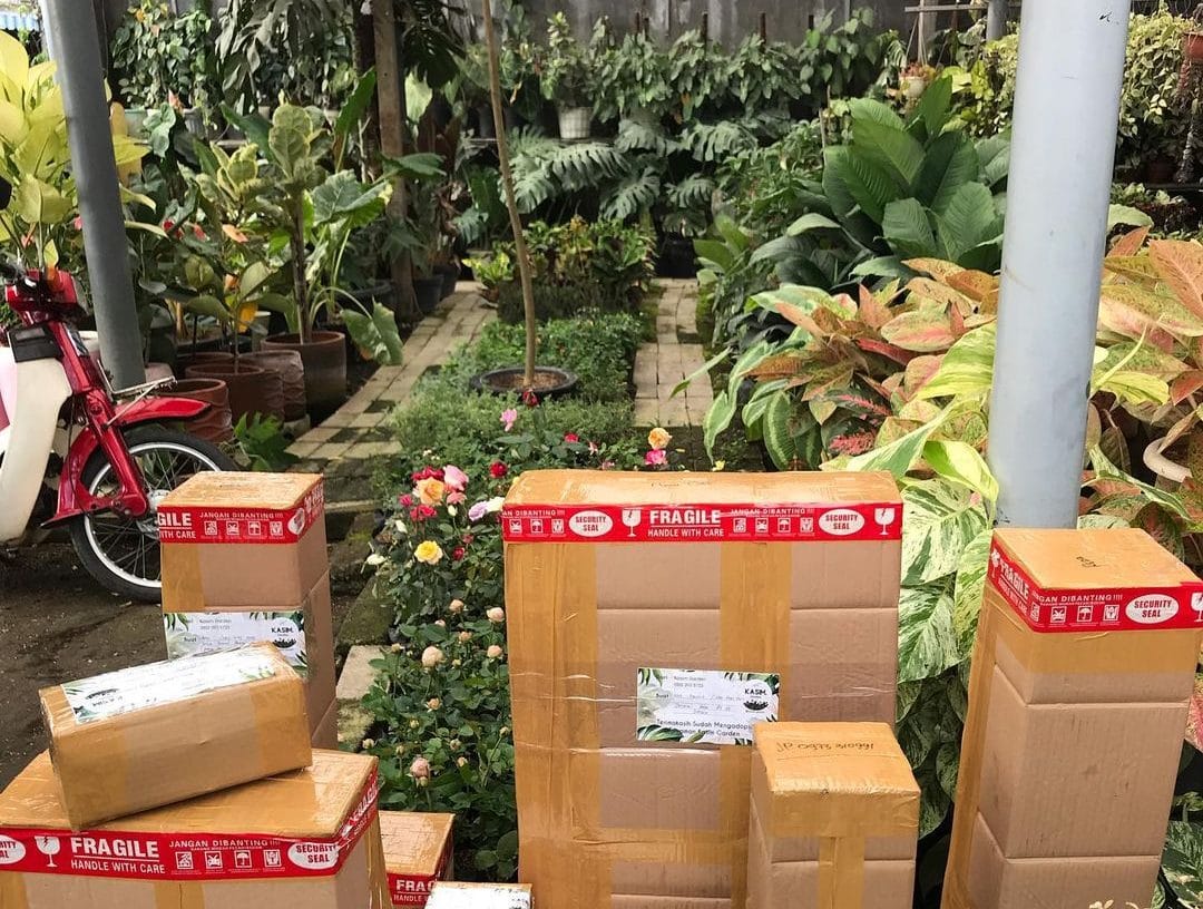 Tanaman Hias: Peluang Bisnis Menggiurkan Bagi Pemula?