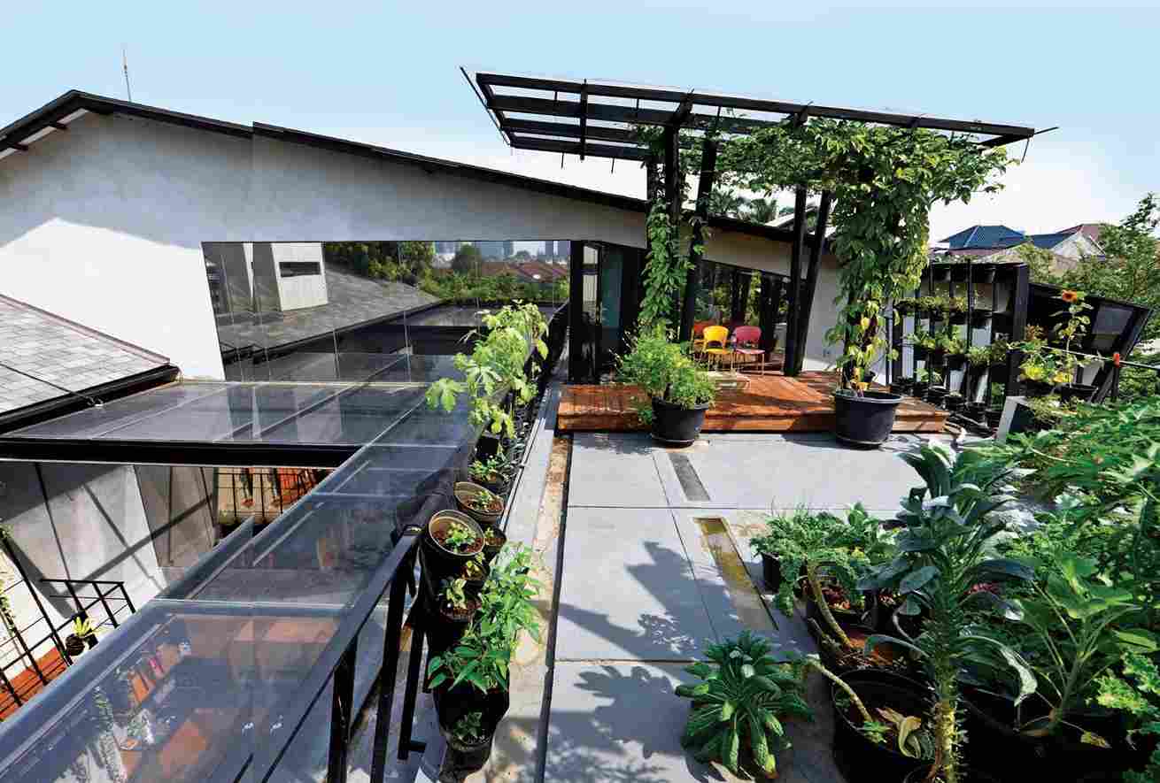Urban Farming: Lebih dari Sekadar Berkebun di Kota