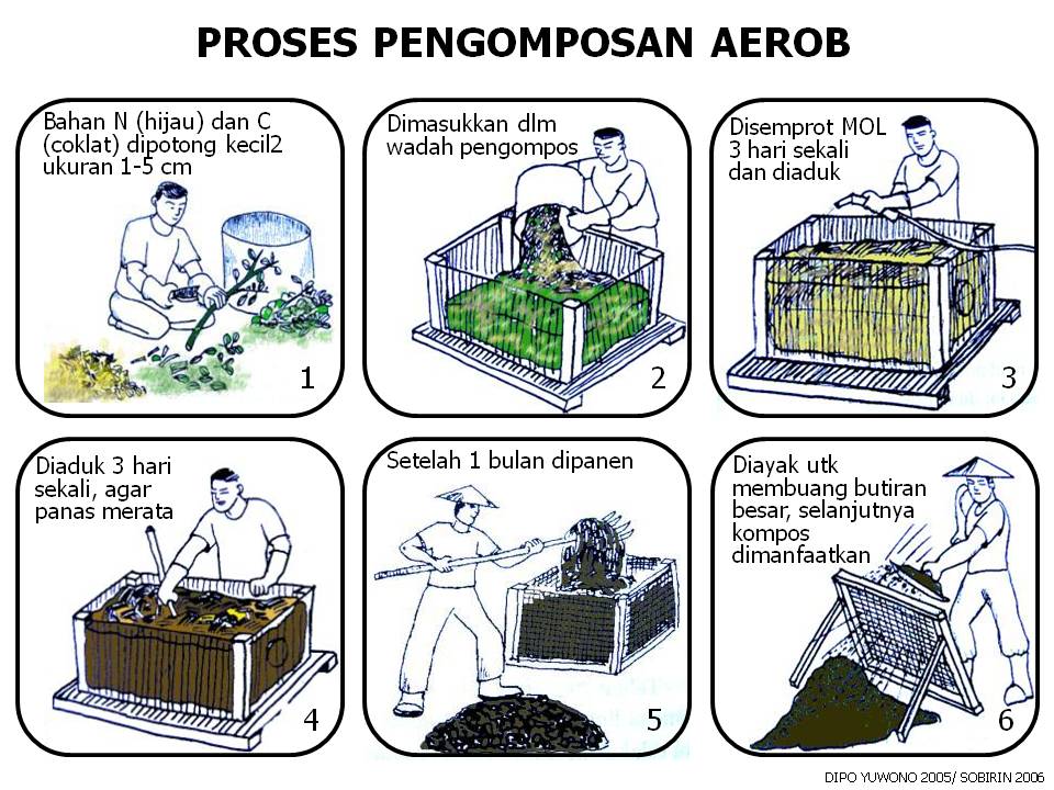 Membuat Komposter Sederhana: Langkah Demi Langkah