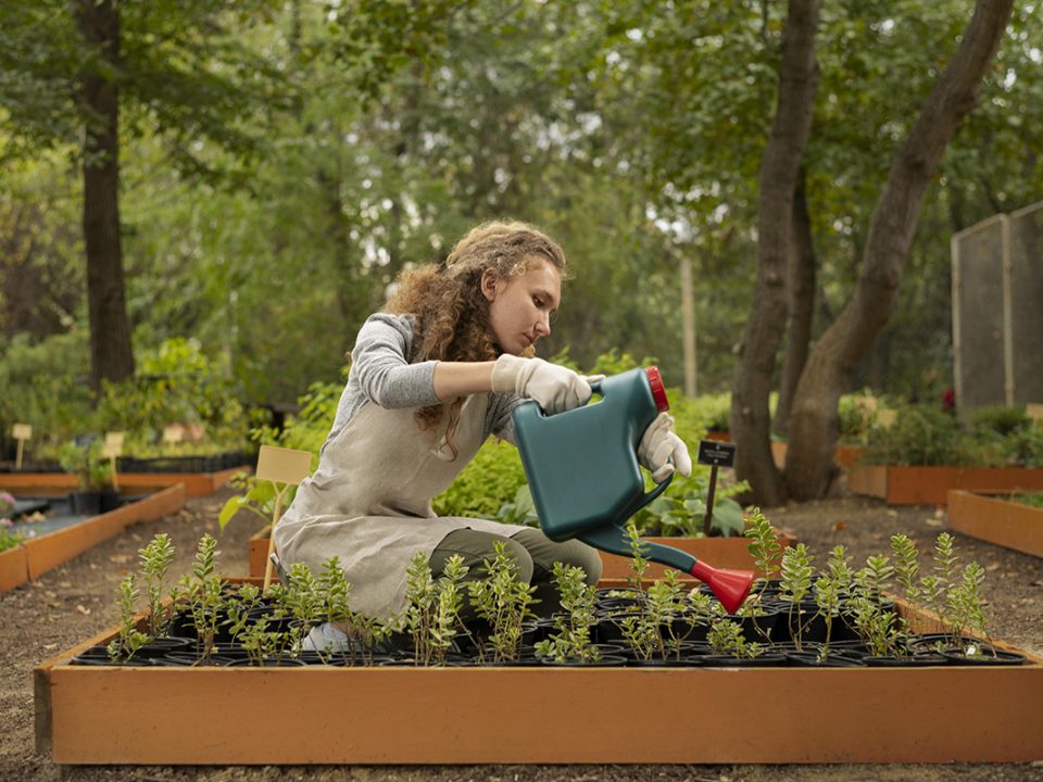 Metode Urban Farming dengan Media Air: Apa Saja Pilihanmu?
