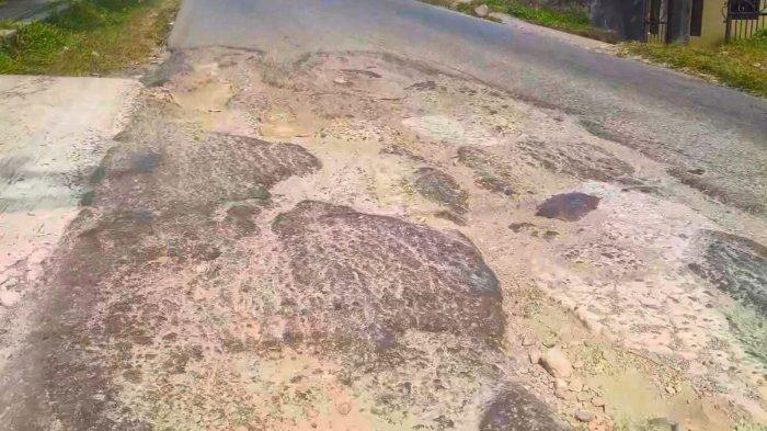 Kebun Cengkeh Ambon: Jejak Sejarah dan Potensi Ekonomi Kota Ambon