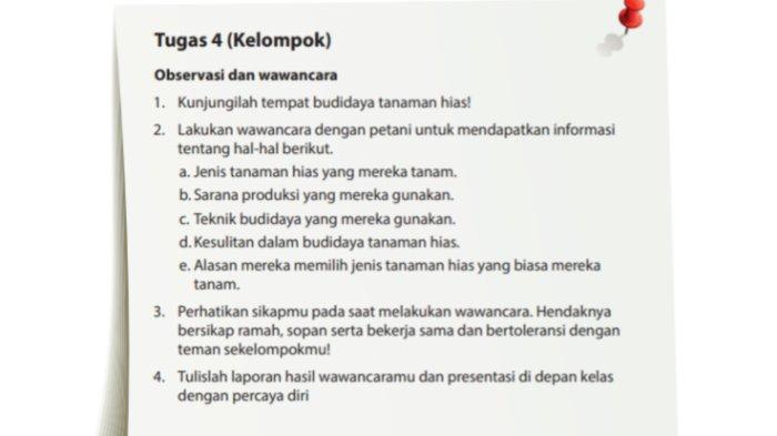 Budidaya Tanaman Hias: Peluang Usaha Kelas 10?