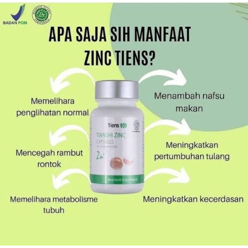 Ecobrick: Lebih dari Sekadar Botol Berisi Sampah