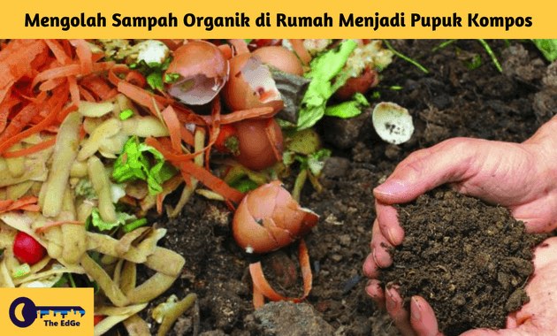 Sampah Rumah Tangga: Potensi Pupuk Kompos, Kecuali…?