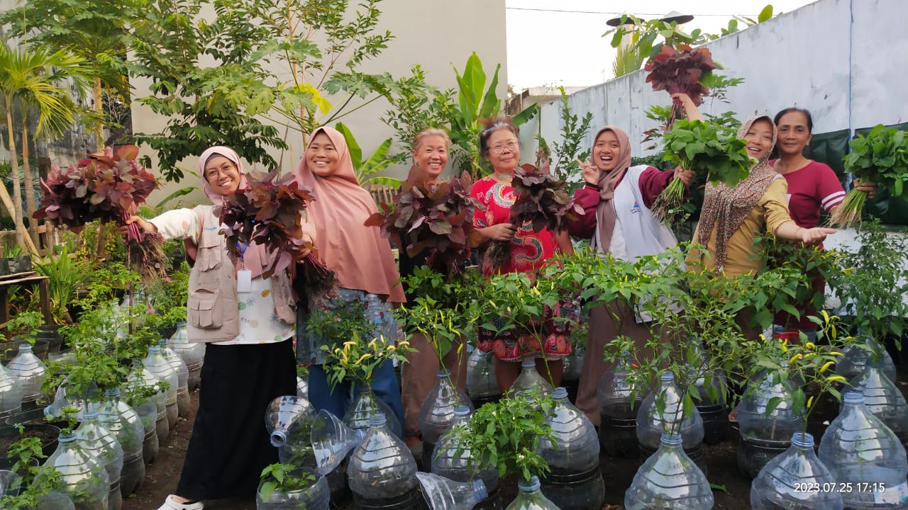 Urban Farming Yogyakarta: Solusi Pangan dan Ruang Terbatas?