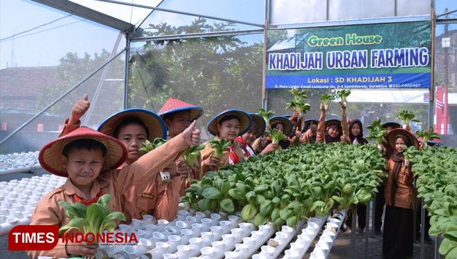 Urban Farming di Sekolah: Menumbuhkan Generasi Hijau
