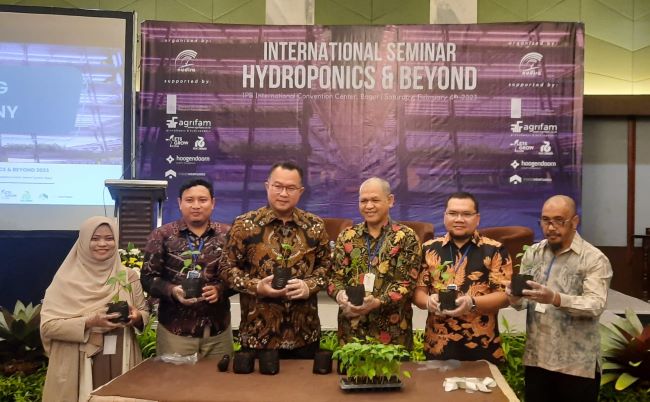 Bisnis Hidroponik: Peluang Menjanjikan di Era Modern?