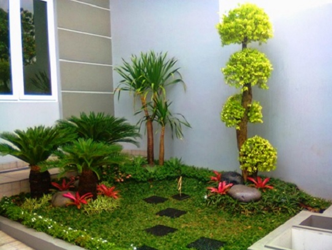 Tanaman Bunga Depan Rumah Minimalis: Estetika dan Fungsi