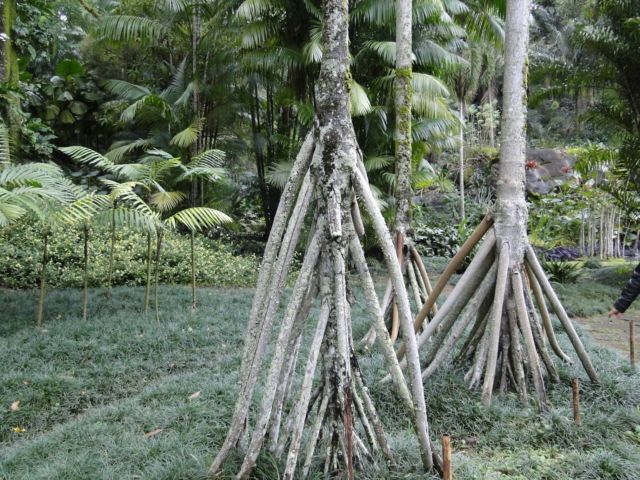 Ecobrick: Perlindungan Tanaman yang Berkelanjutan?