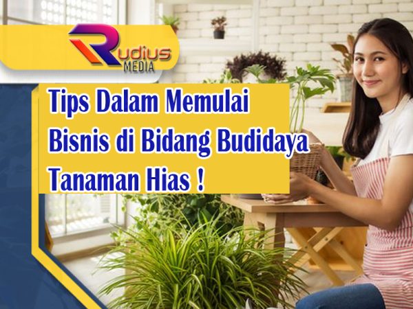 Budidaya Tanaman Hias: Peluang Jadi Wirausaha Sukses?