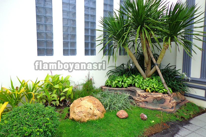 Tanaman Hias Mempercantik Fasad Rumah: Pilihan dan Penataannya