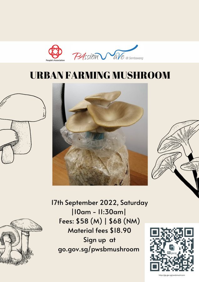 Urban Farming: Menumbuhkan Generasi Hijau Sejak Dini?