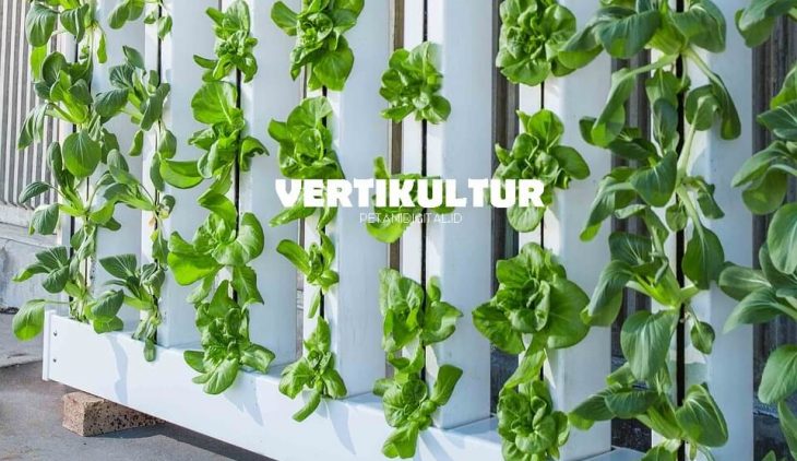 Vertikultur: Teknik Reproduksi dan Optimasi Tanaman