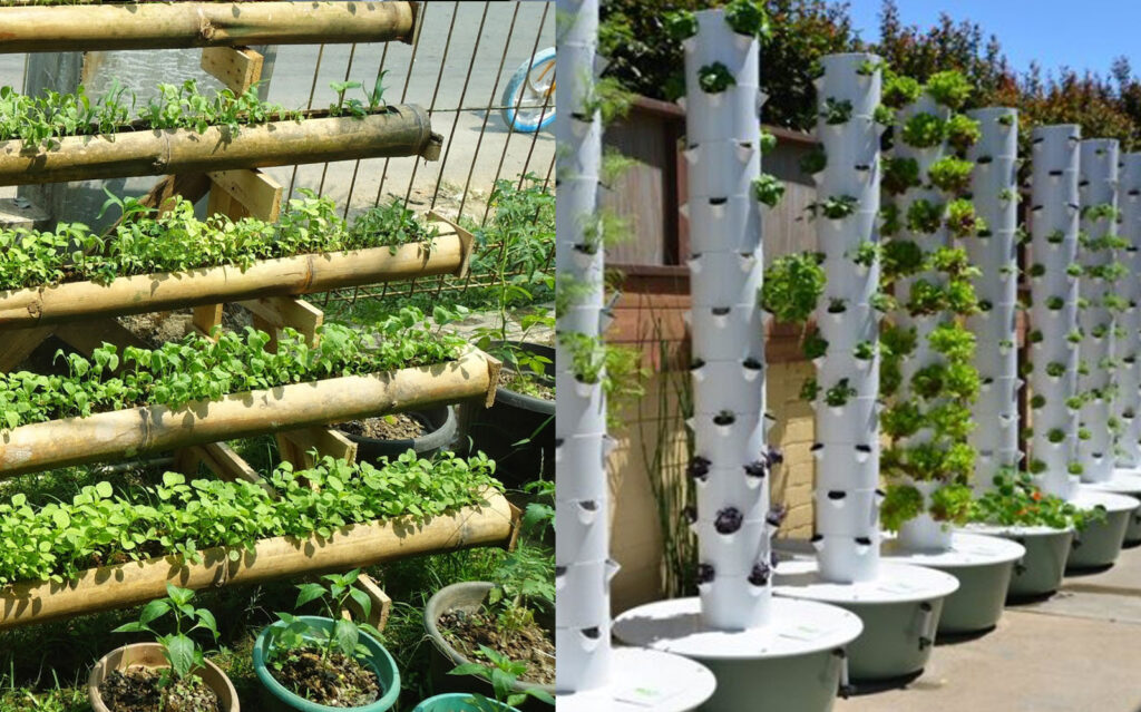 Vertikultur: Solusi Berkebun di Lahan Sempit?