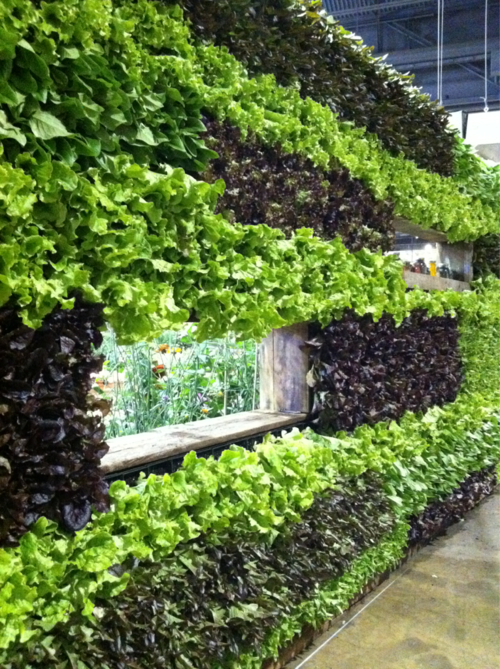 Urban Farming: Metode yang Umumnya Dihindari?