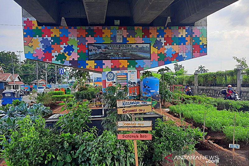 Urban Farming: Solusi Pangan dan Lingkungan di Perkotaan Indonesia?