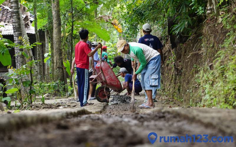 Contoh Instalasi Lingkungan Deforestasi: Menelisik Akibatnya