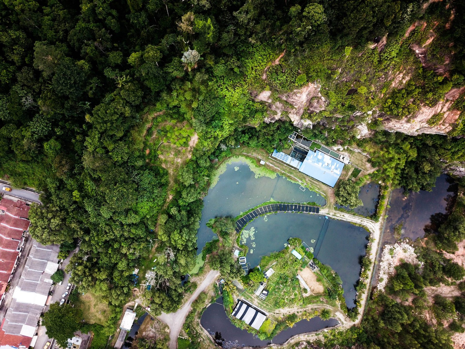 Kebun Kota Farm Kuantan: Lebih dari Sekadar Foto?