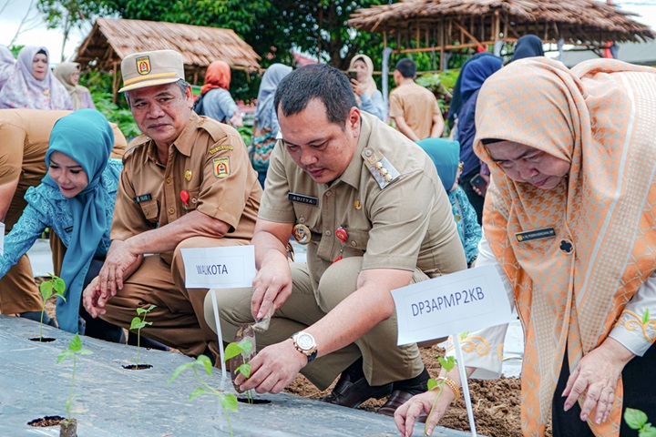 Urban Farming Buaran Citra Lestari: Mungkinkah Ketahanan Pangan di Tengah Perkotaan?