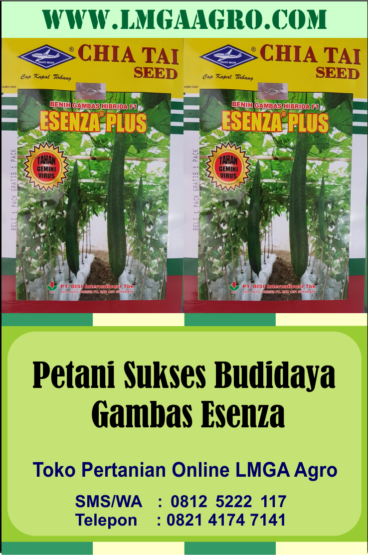 Jenis Vertikultur: Inovasi Berkebun di Lahan Sempit