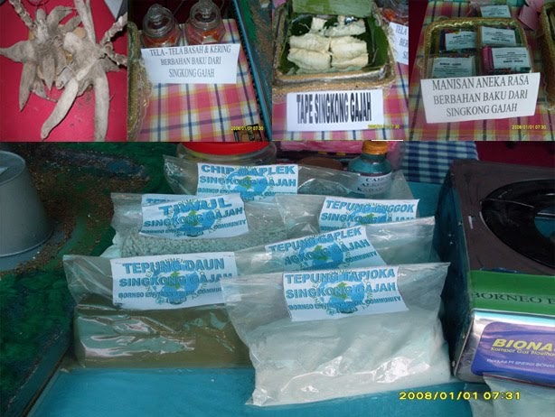 Bahan Baku Produk Teknologi Ramah Lingkungan: Apa Saja?
