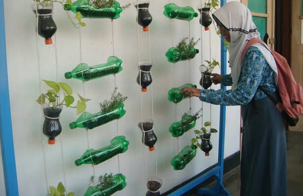 Vertikultur Botol Bekas: Solusi Urban Menuju Pertanian Berkelanjutan?