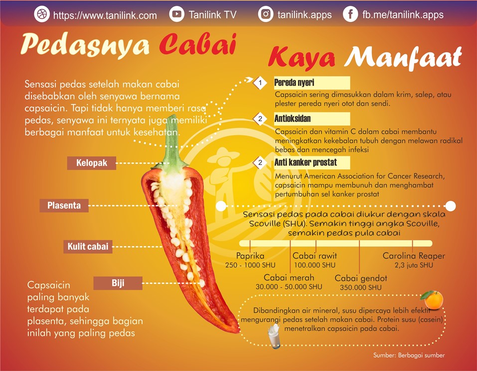 Komposter: Lebih dari Sekadar Tempat Sampah