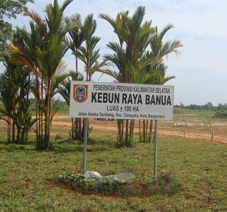 Pesona Kebun Rumput Kota Banjarbaru: Potret Hijau di Tengah Kota
