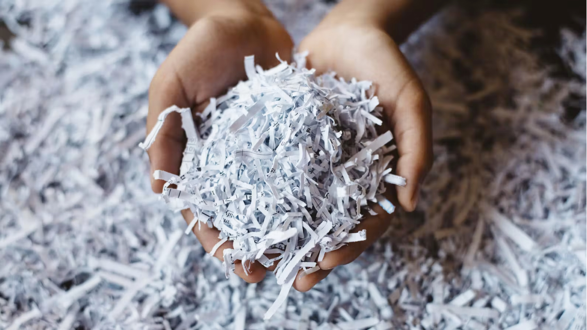 Alat untuk Daur Ulang Kertas: Apa Saja yang Dibutuhkan?