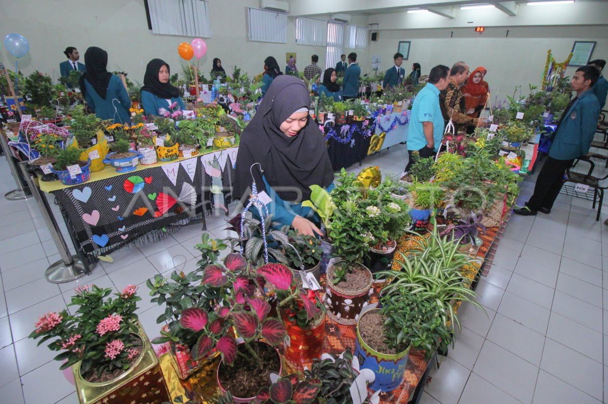 Kreativitas Tanpa Batas: Pot Daur Ulang