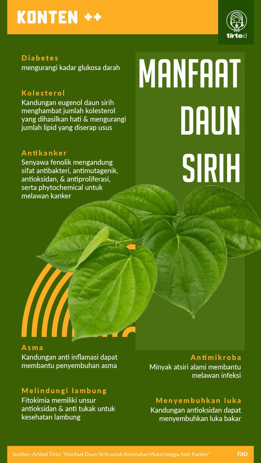 Daun Sirih Hijau: Sahabat Alami Kesehatan Kewanitaan?