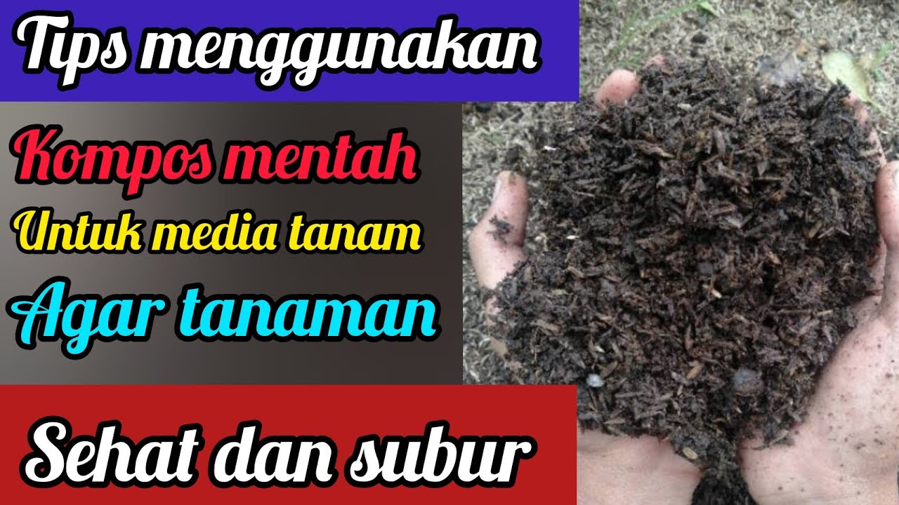 Kompos: Rahasia Kesuburan Media Tanam
