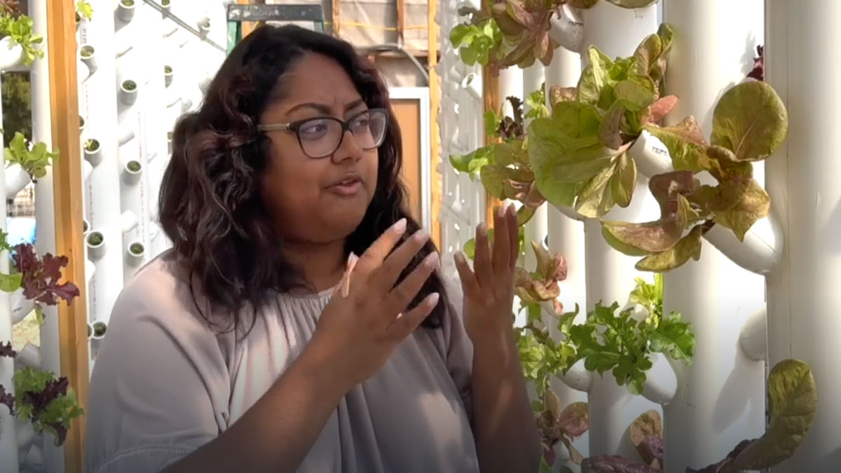 Urban Farming Non-Profit: Mengapa Mereka Penting dan Bagaimana Mereka Bekerja?