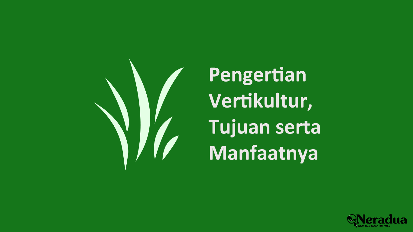 Tujuan Vertikultur: Mengoptimalkan Ruang dan Hasil Pertanian