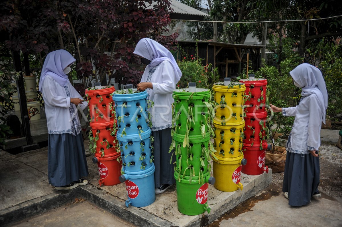 Wijaba: Program Edukasi Lingkungan yang Berkelanjutan?
