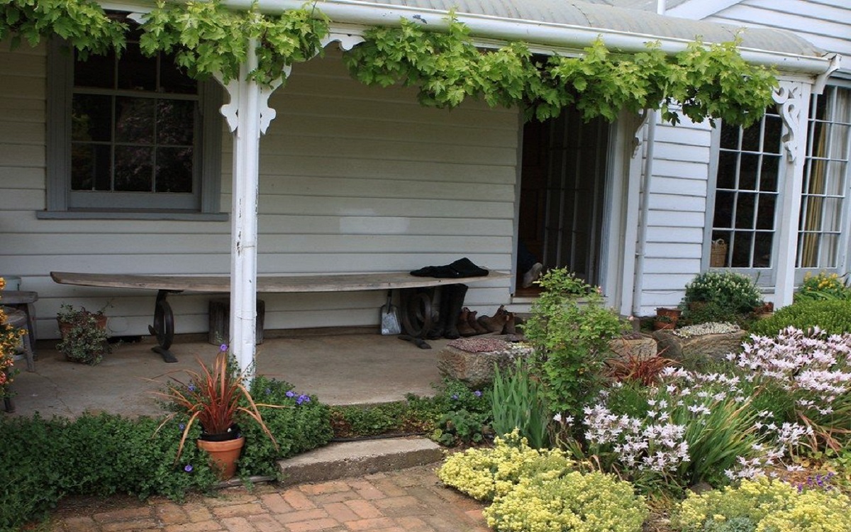 Desain Tanaman Hias Depan Rumah: Inspirasi & Tips
