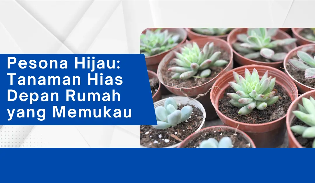 Tanaman Hias Depan Rumah 2022: Apa yang Sedang Tren?