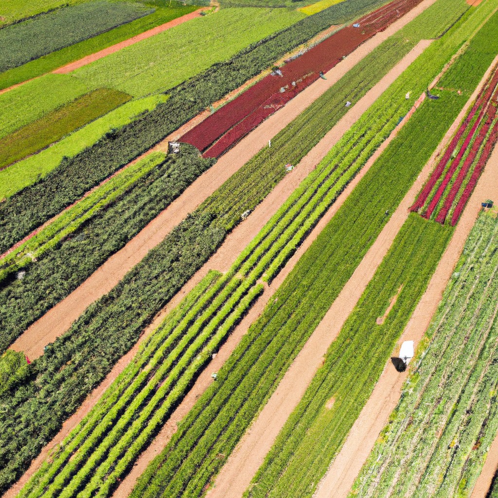Urban Farming: Definis Definisi dalam Geografi Manusia