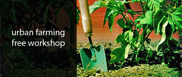Urban Farming Workshop: Solusi Hijau di Singapura?