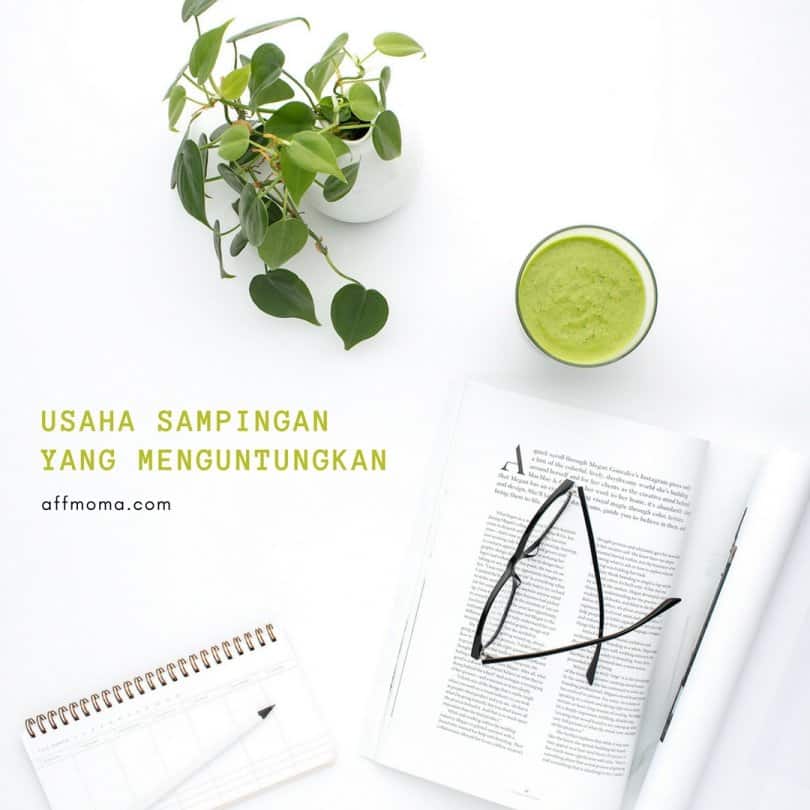 Hidroponik: Peluang Usaha Menguntungkan?