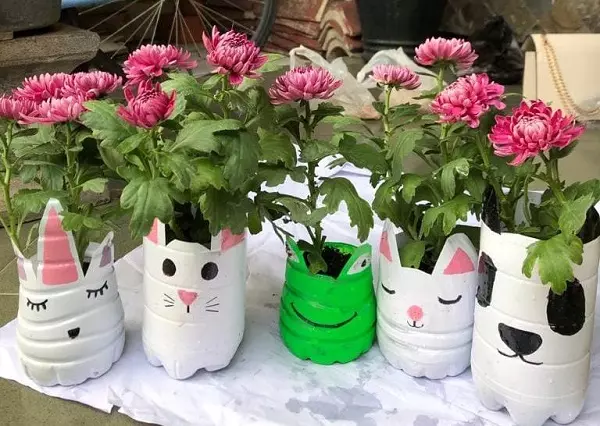 Botol Bekas Jadi Pot Bunga: Kreatif dan Ramah Lingkungan?
