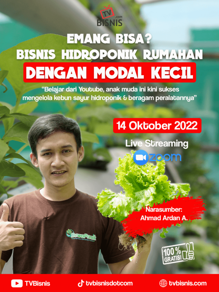 Hidroponik: Peluang Bisnis Sayuran yang Menjanjikan?