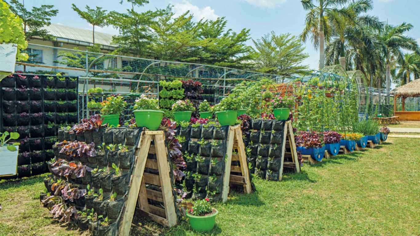 Urban Farming Purwakarta: Tiket Masuk dan Pengalaman